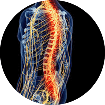 Musculoskeletal care treatment